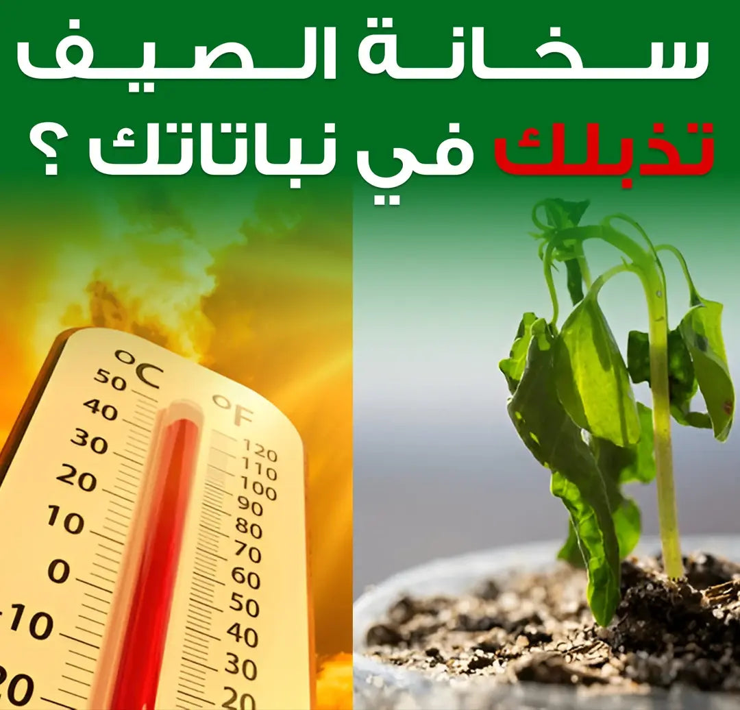 التغذية المثالية لنباتاتك – سماد طبيعي يعزز النمو!  فعال 100% ⭐️⭐️⭐️⭐️⭐️