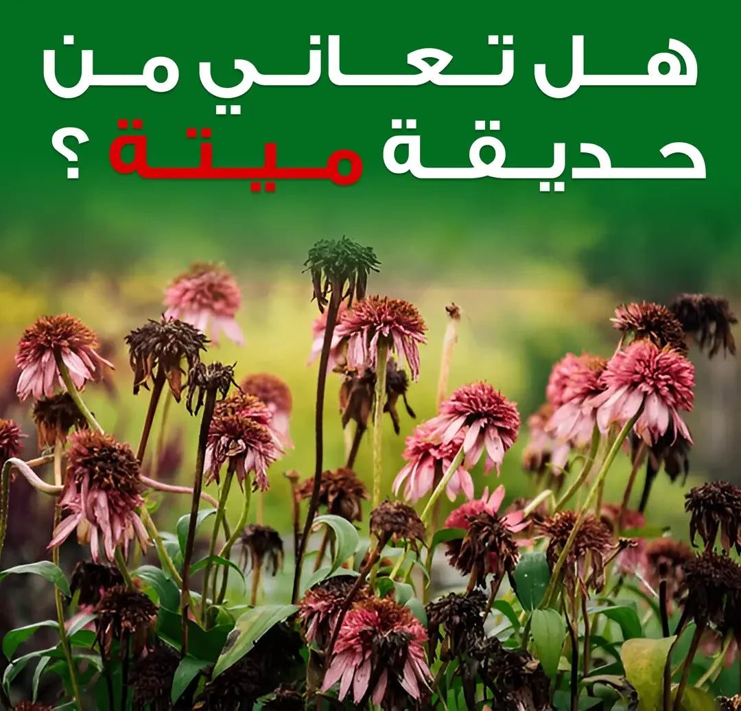 التغذية المثالية لنباتاتك – سماد طبيعي يعزز النمو!  فعال 100% ⭐️⭐️⭐️⭐️⭐️